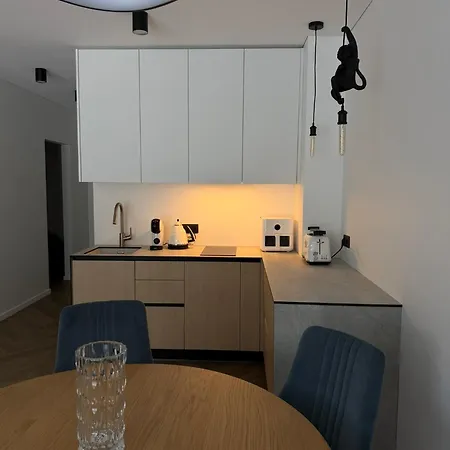 Modern With Terrace *