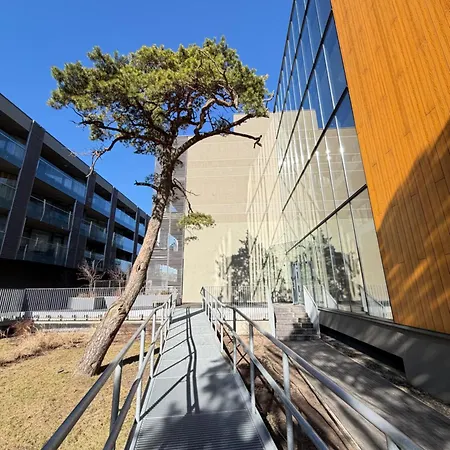 Modern With Terrace Butas Palanga