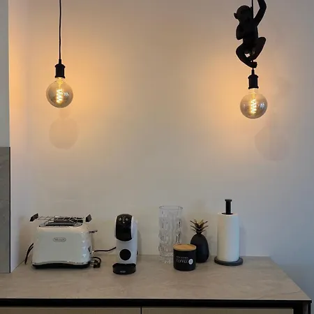 Modern With Terrace Palanga