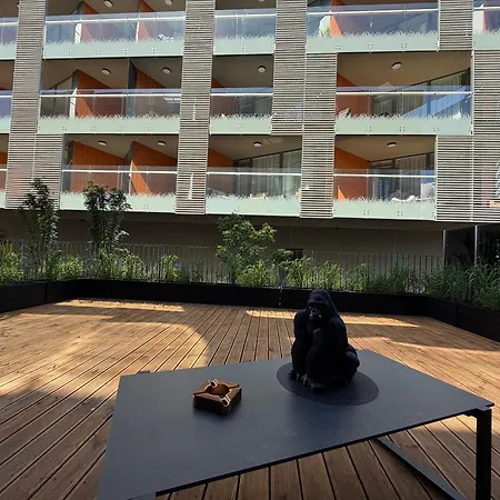Modern With Terrace Butas Palanga