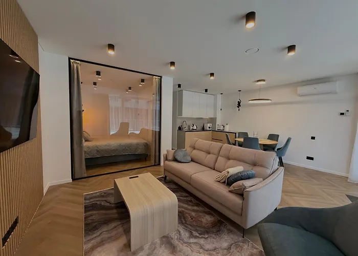 Modern With Terrace Lägenhet Palanga